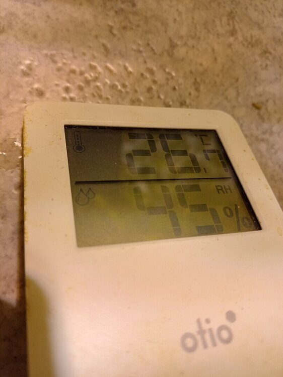 20250513_160952.thumb.jpg.9dc6295a2fdad08816bb6f336222e463.jpg