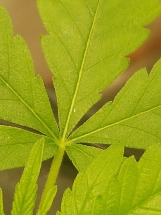 20250523_202209.jpg