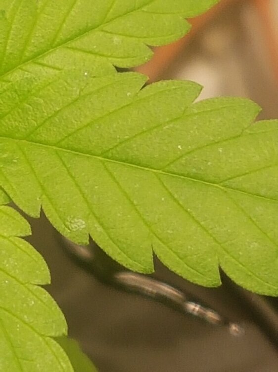 20250523_202219.jpg