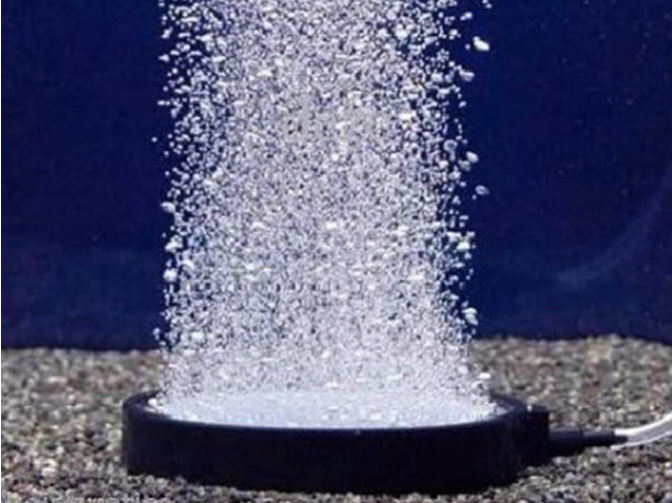 image.png.bc1a8ec4ff0e66ff73bbbffc7b2072ce.png