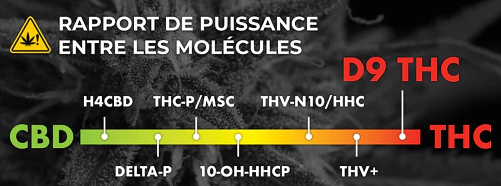 large.Visuel-Rapport-de-puissance-2.jpg.61a09501a74ce6a9c27cc4a81e743fb4.jpg