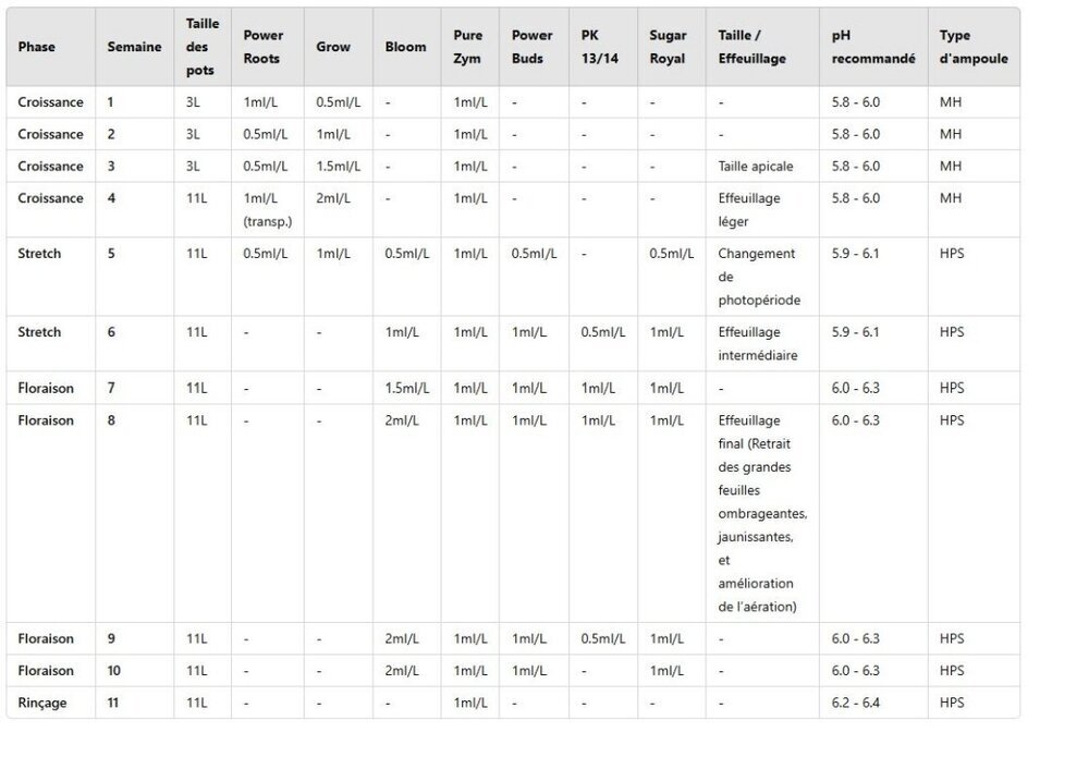 programme_MasterKush_mars2025_250512_184507.jpg