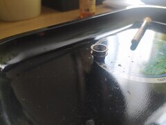 IMG_20250522_132833.jpg