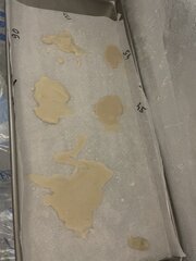 IMG_2404.jpeg