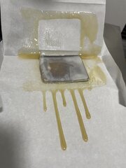 IMG_2436.jpeg