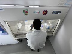 Biocat Lab