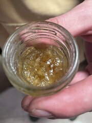 IMG_2705.jpeg