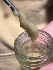 IMG_2712.jpeg