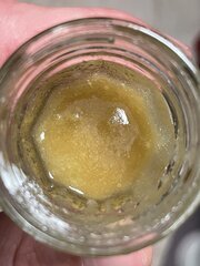 IMG_2718.jpeg