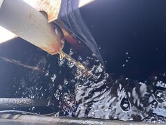 IMG_2870.jpeg