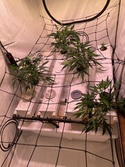 IMG_3013.jpeg
