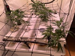 IMG_3015.jpeg