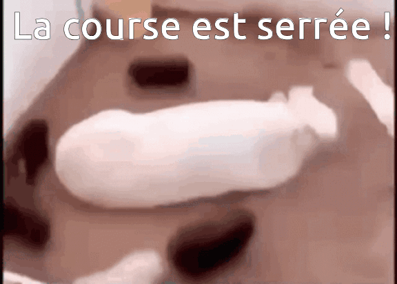 tenor.gif.cd75ab18eb1bbe2a7f09d7dcf72906b3.gif