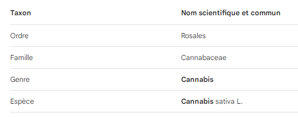 TAXON cannabis.png