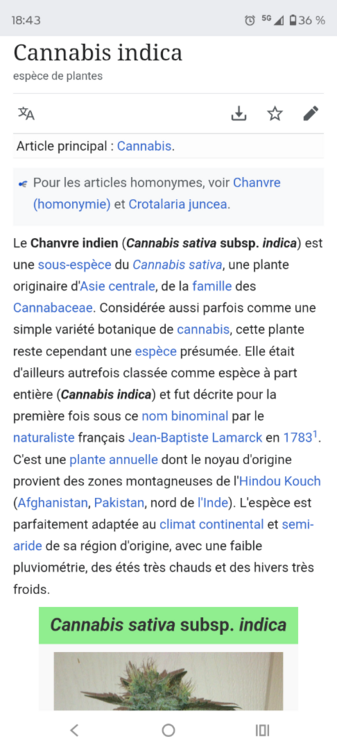 Screenshot_20250607-184339.Chrome.thumb.png.647a0e99fc2859998c854c1c14dec067.png
