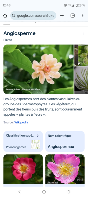 Screenshot_20250608-124837.Chrome.thumb.png.37278ae3a91b85b184968b5bbf418831.png