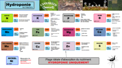 Hydroponie - Chaine nutritionnelle et comportements