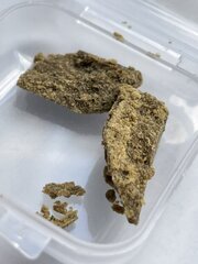 IMG_3108.jpeg