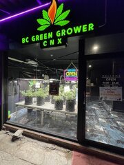 BC Grower - Chiang Mai