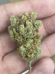 Astro Farm - Chiang Mai