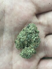 Astro Farm - Chiang Mai