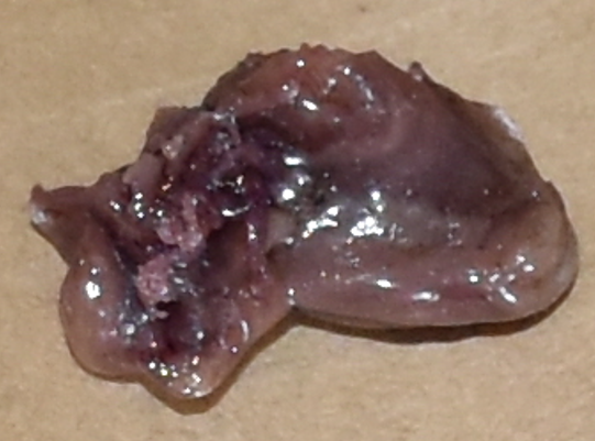 1202930800_pizzarosin2.png.8a5e950d2fe366f9475f72e03f526856.png