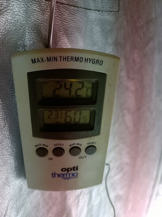 IMG20250704214734.jpg