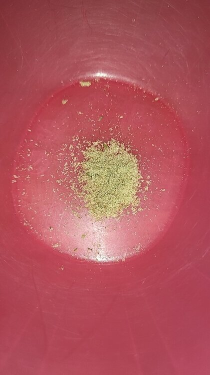 Snapchat-232182169.jpg