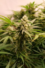 01000922.jpeg