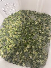 IMG_4055.jpeg