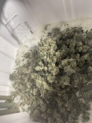 IMG_4060.jpeg