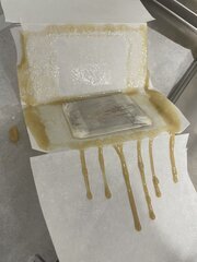 IMG_4155.jpeg