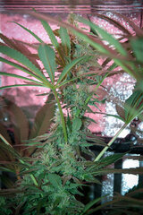 IMG_8475.jpg