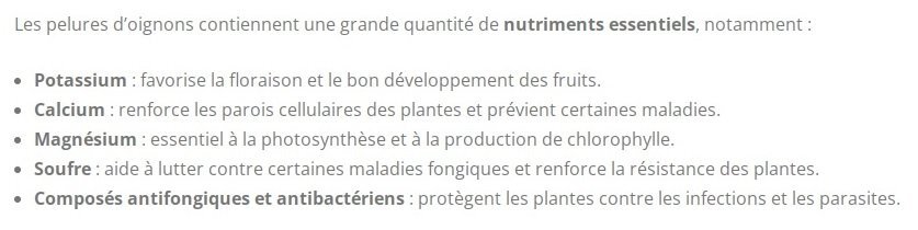 Pelures d'oignon pour plante.jpg