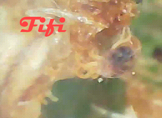2078605898_Araigne-Movie-GIF-2.gif.f2dd93b4b1939a34434622ab2.gif.39e92265d897de8c6a344e138d6cd81b.gif