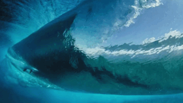 water cool 2.gif