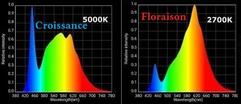 spectre et temperature des couleurs flo et cro.jpg