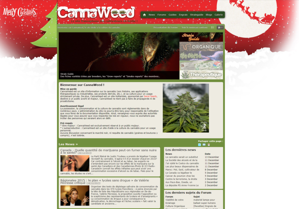 Cannaweed page d'acceuil 2015.png