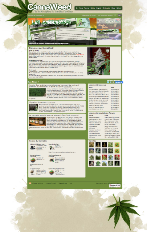 Cannaweed page d'acceuil 2016.png
