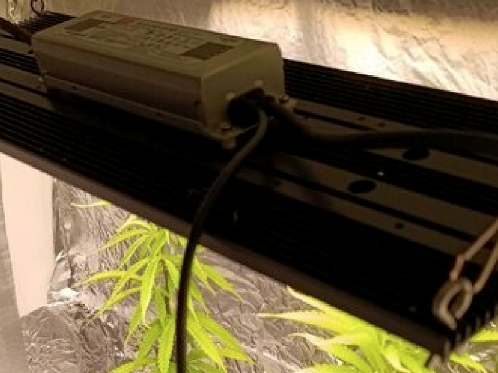 2 x 150w cob.png
