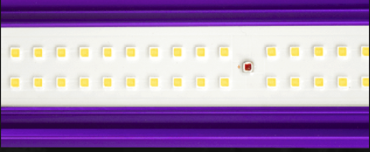 Lumatek 600W Zeus 2.6.png