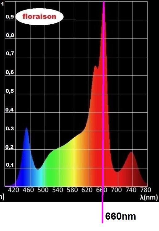 ISLED V6.1PF 660nm.jpg