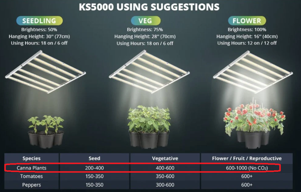 KS5000.png