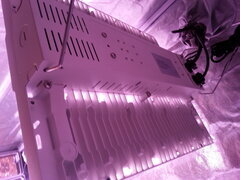 20250928_121818.jpg