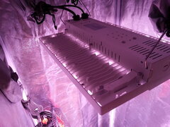 20250928_121829.jpg