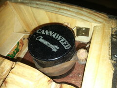 20250928_123131.jpg