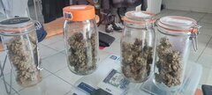 Afghani 200g.jpg