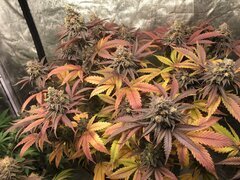 IMG_0876.JPG