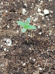 IMG_20250908_081306