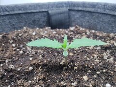 IMG_20250912_080534.jpg